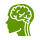 Gehirnfunktion